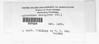 Image Associated With the Occurence